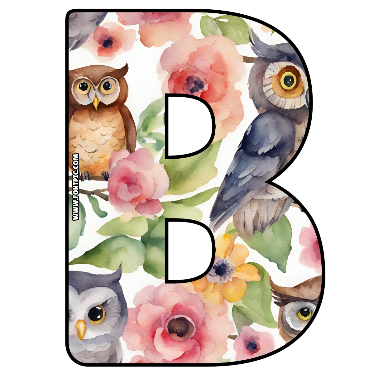 Buho Letter B