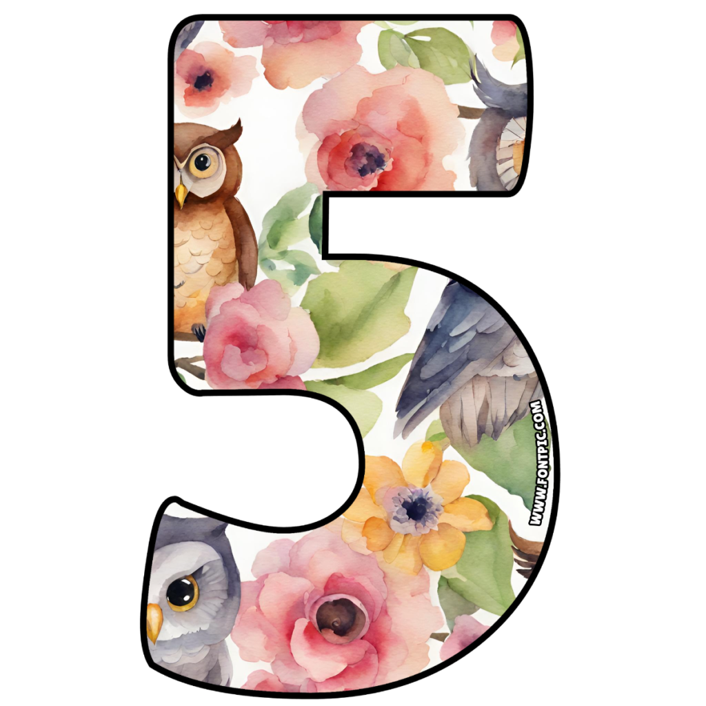 buho-number-5-fontpic