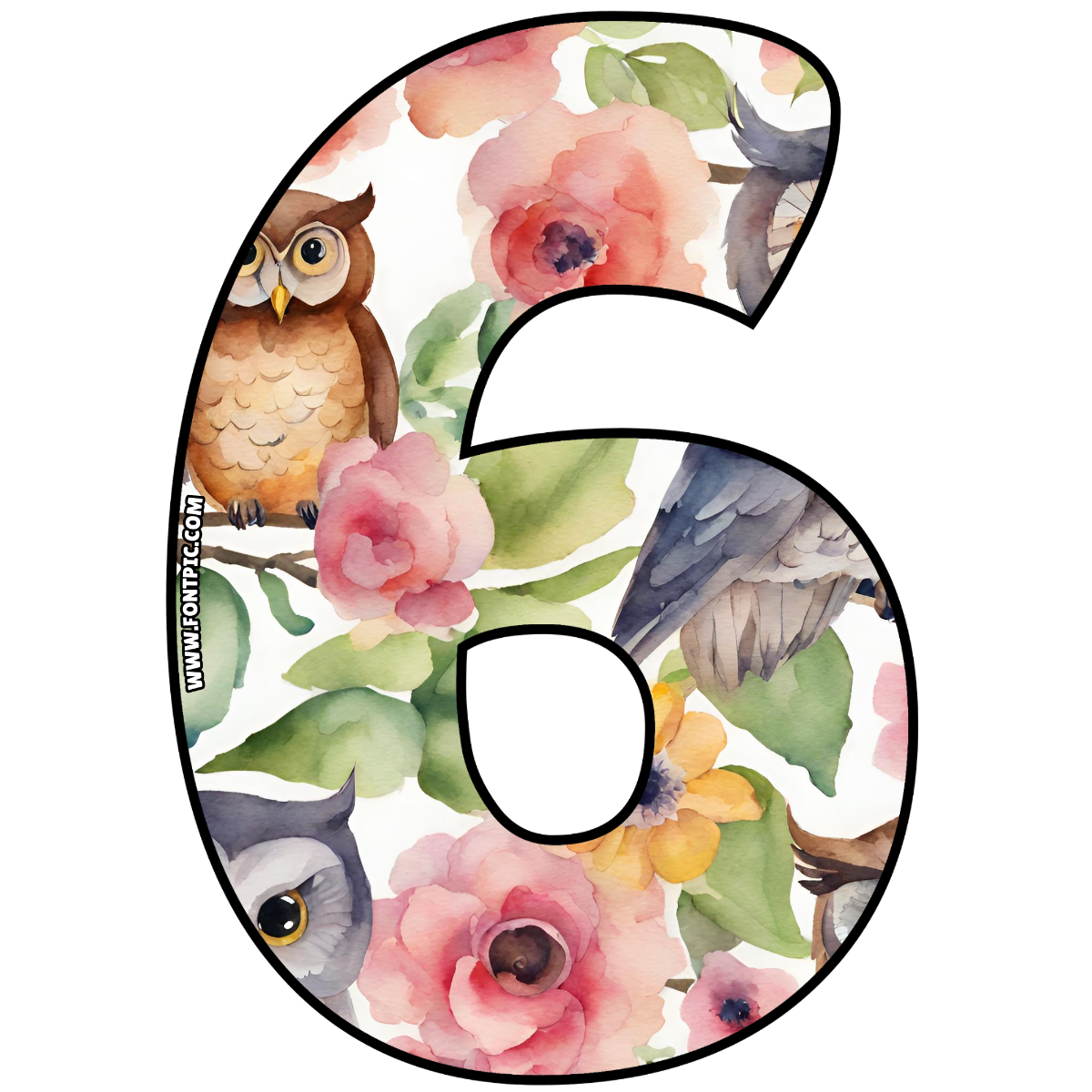 Buho Number 6